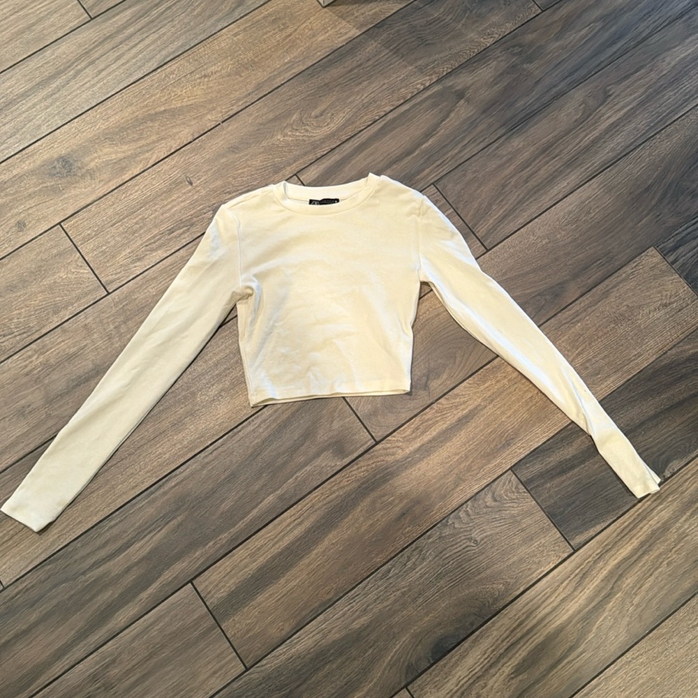 Zara crop top